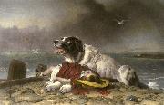 Landseer, Edwin Henry Saved oil painting reproduction
